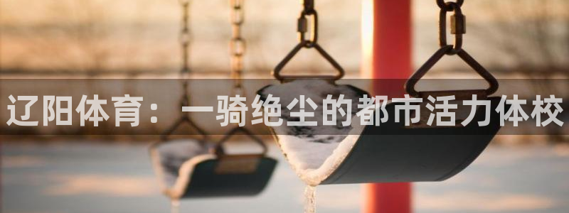 MK体育官方正版app集团E.ON：辽阳体育：一骑绝