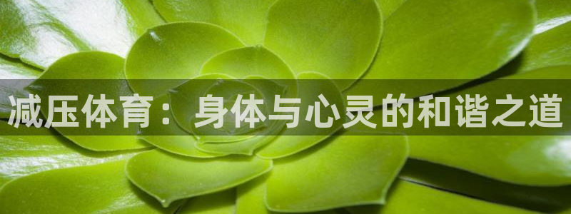 MK体育官网下载平台注册要钱吗是真的吗：减压体育：身体与心灵