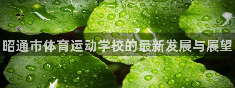 MK体育官网下载招商：昭通市体育运动学校的最新发展与展望