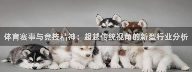 MK体育官方正版app集团官网首页网址：体育赛事与竞技精神：