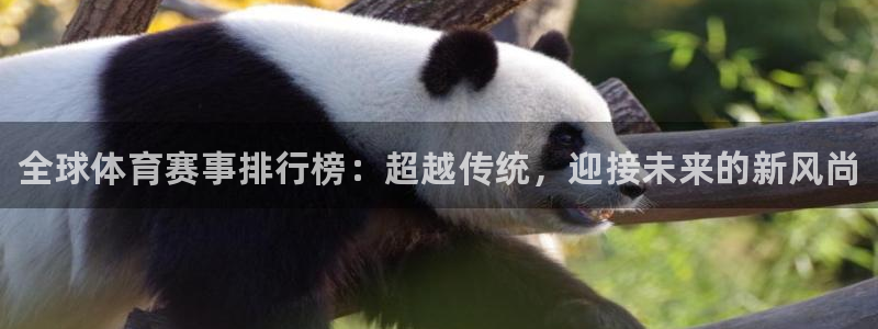 MK体育官方正版app集团官网网址：全球体育赛事排行榜：超越