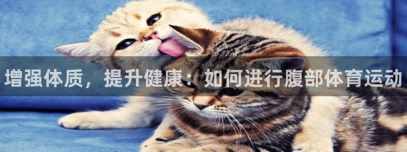 MK体育官网下载招商电话号码是多少号：增强体质，提升