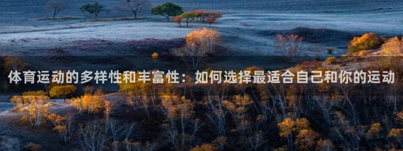 MK体育官方集团官网：体育运动的多样性和丰富性：如何选择最适