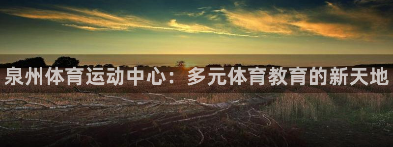 MK体育官方正版app娱乐下载：泉州体育运动中心：多