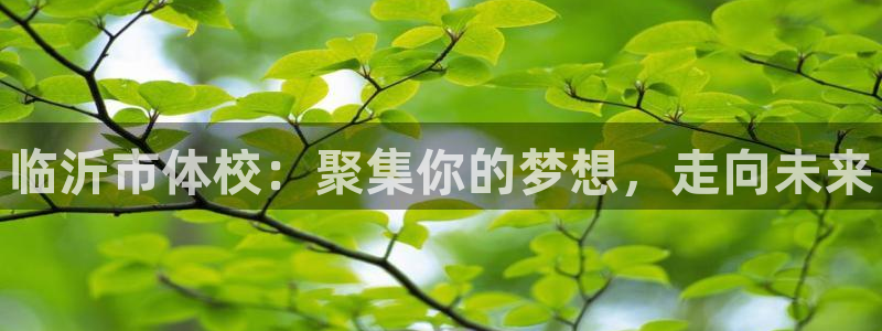 MK体育官方正版app科技：临沂市体校：聚集你的梦想