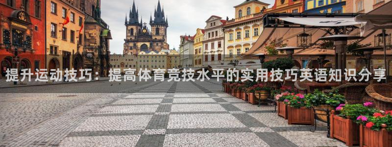 MK体育官网下载招商电话号码查询：提升运动技巧：提高