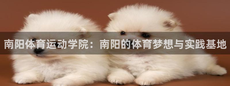 MK体育官方正版app代理：南阳体育运动学院：南阳的体育梦想