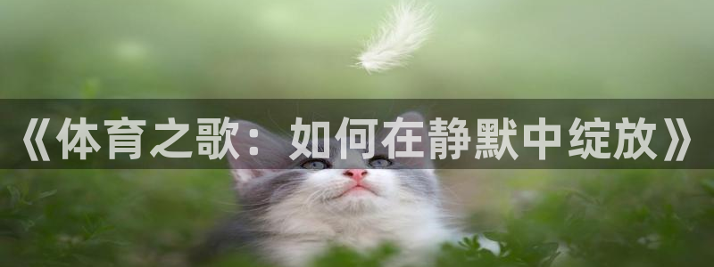 海南MK体育官网下载发展怎么样：《体育之歌：如何在静