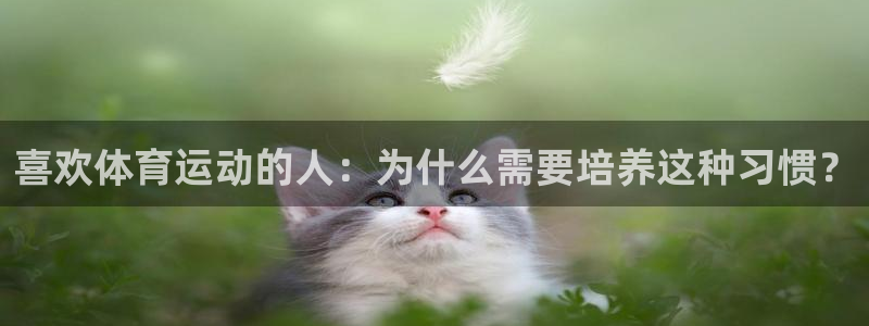 MK体育官方正版app集团简介：喜欢体育运动的人：为