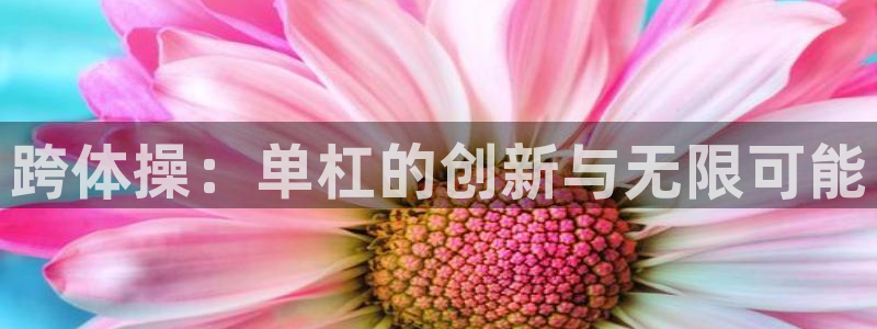 MK体育官网下载平台注册要钱吗安全吗：跨体操：单杠的