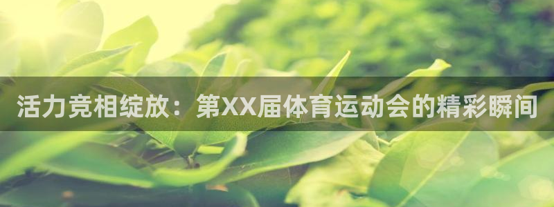 MK体育官网下载：活力竞相绽放：第XX届体育运动会的