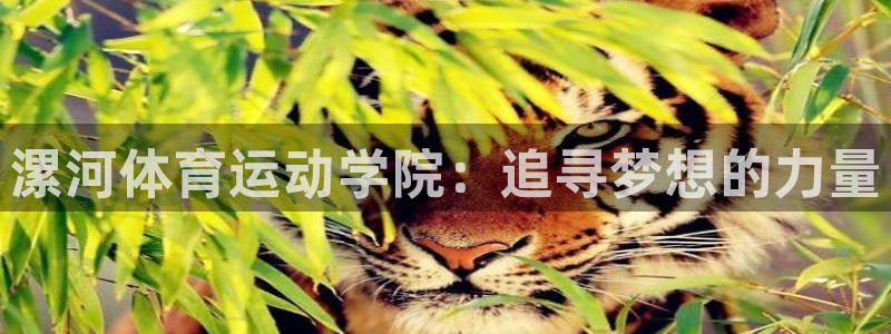 MK体育官网下载平台注册要钱吗是真的吗：漯河体育运动