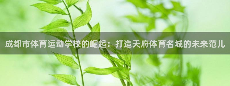 MK体育官网下载注册：成都市体育运动学校的崛起：打造天府体育