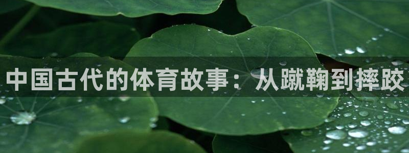 MK体育官方正版app娱乐下载