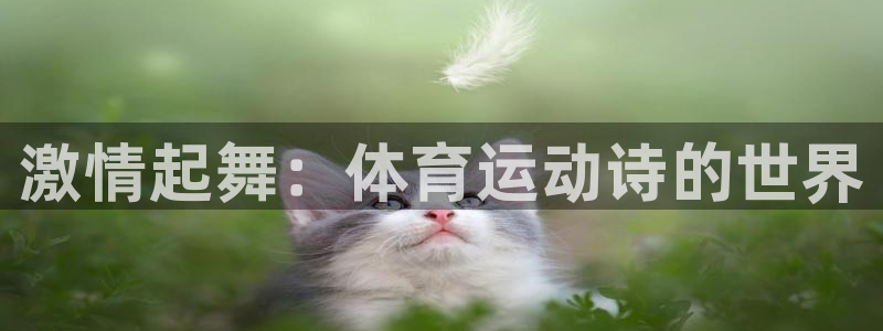 德国MK体育官方正版app集团