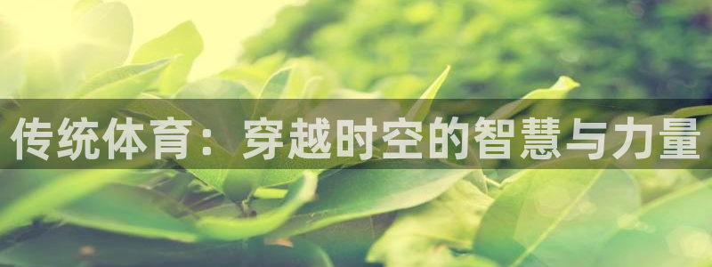 MK体育官网下载