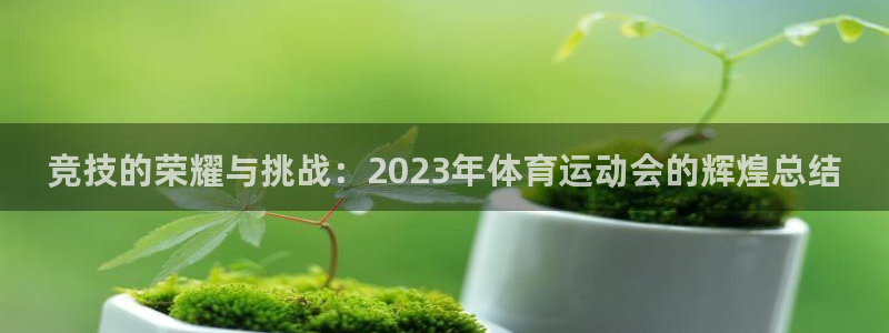 MK体育官网下载官方客服电话：竞技的荣耀与挑战：2023年体