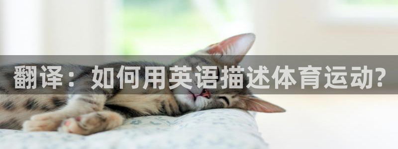 MK体育官网下载是干嘛的公司：翻译：如何用英语描述体育运动?