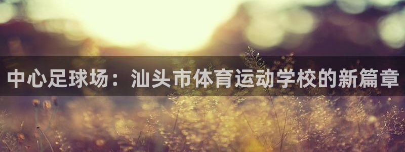 MK体育官网下载平台是正规平台吗知乎：中心足球场：汕头市体育